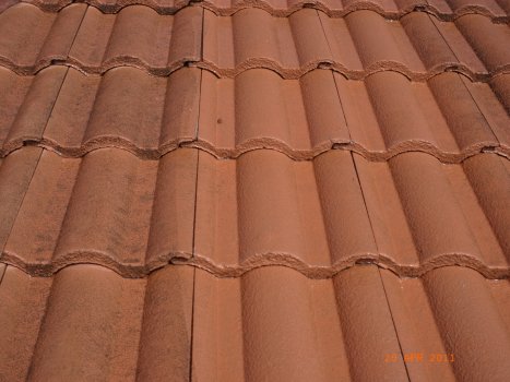Vario Lance Roof Clean 