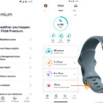 Fitbit New Functionalities