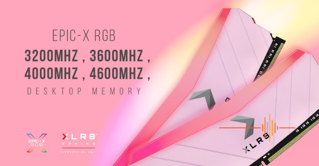 XLR8 RGB DDR4 Desktop Memory Pink Limited Edition