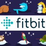 Fitbit Sleep Analyser