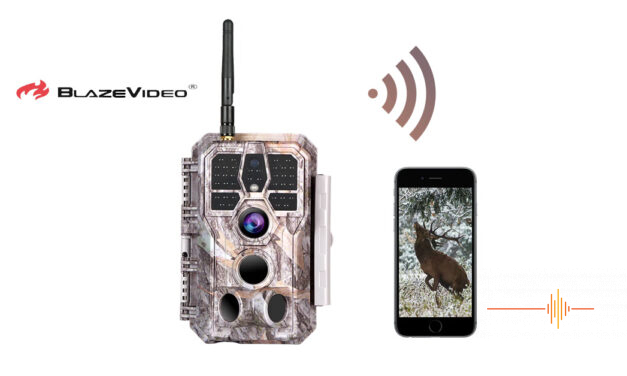 On the Trail of the Thylacine? We test the BlazeVideo A280W Trail Camera on our property
