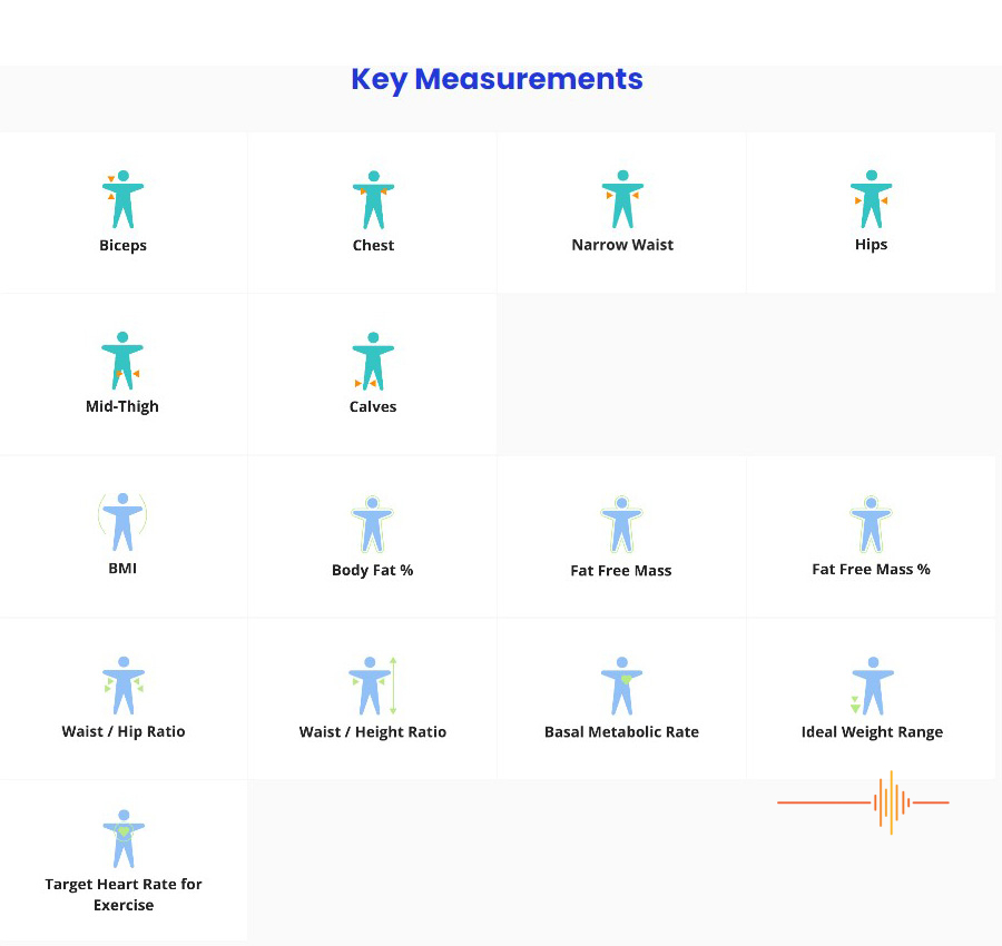 Bodymapp measurements