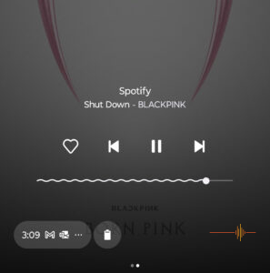 Front screen Spotify