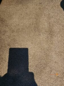 Carpet stain after iCarpet